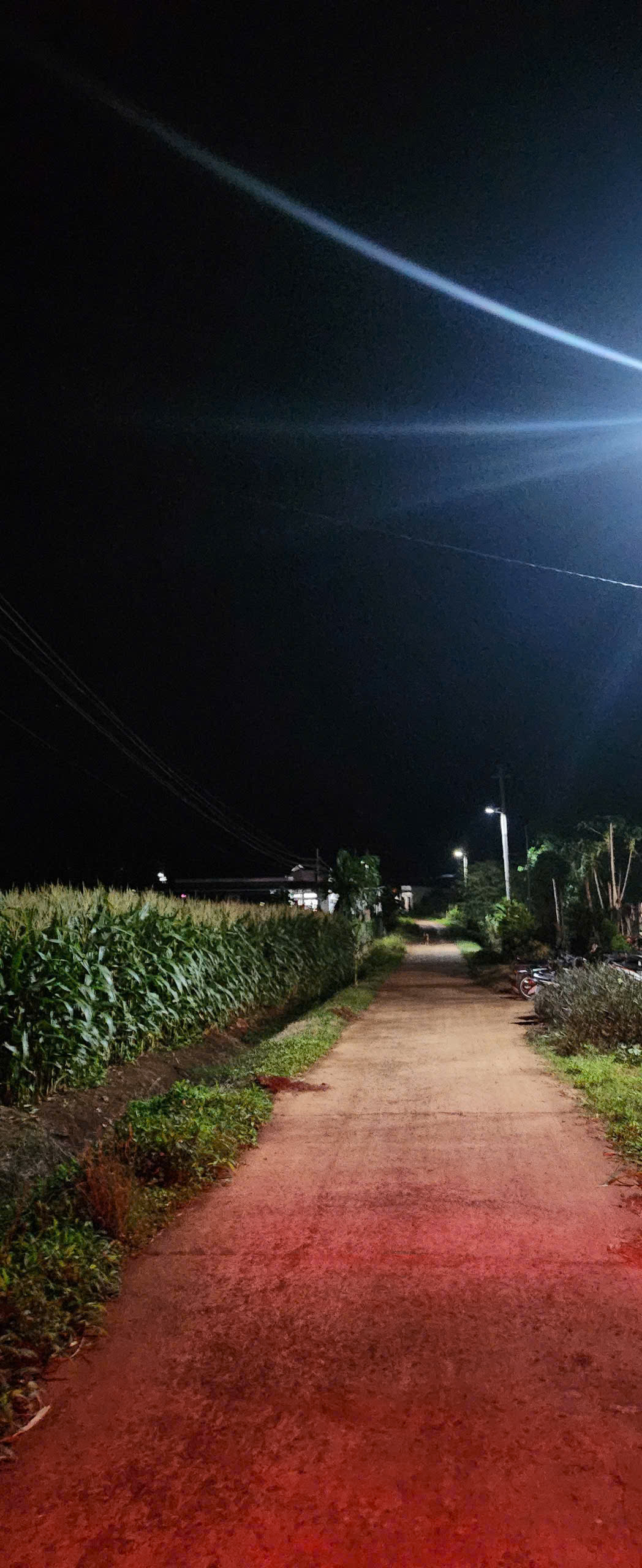 điện 5